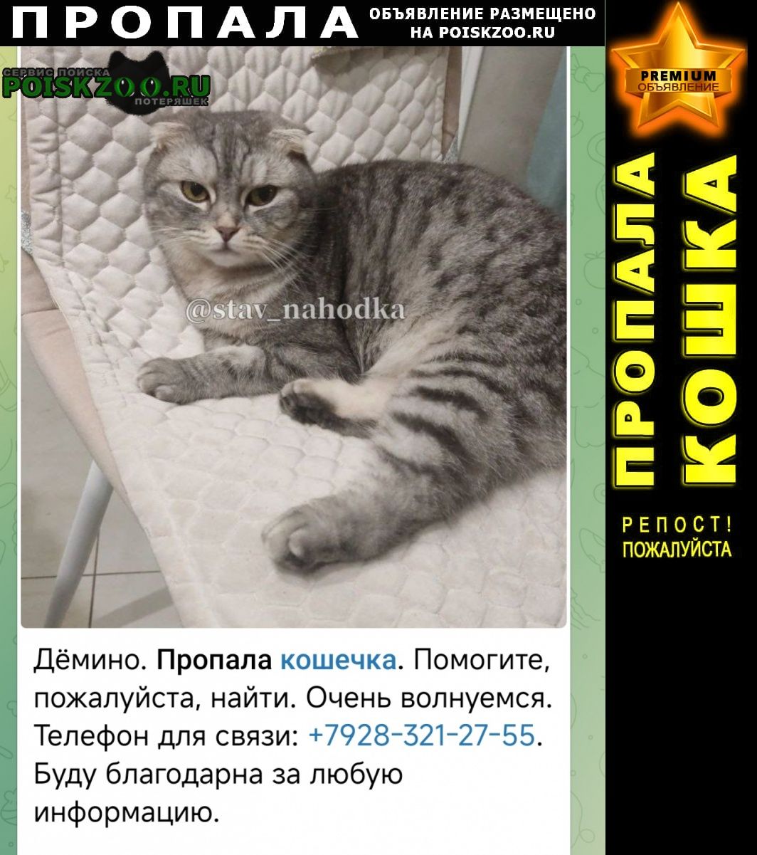 ���� ������� �����