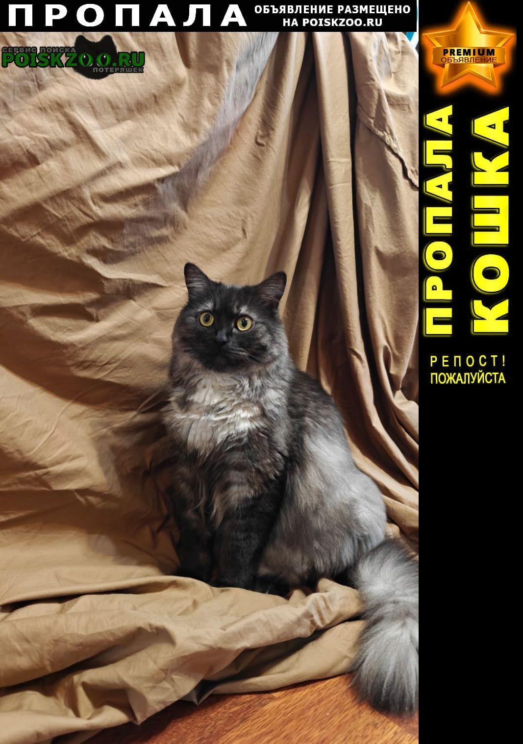 ���� ������ ��� ����. �������������� 5000