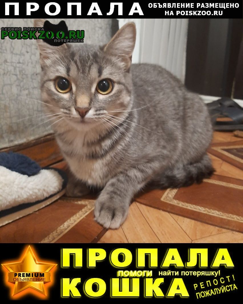 ���� ������� �����