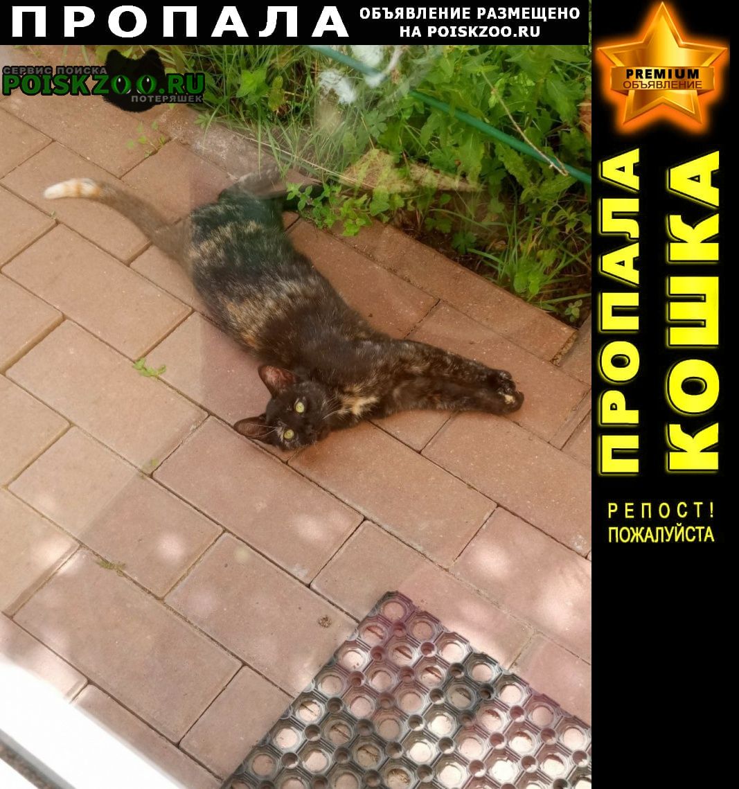 ���� ������� ����� ������� � ����� ���������