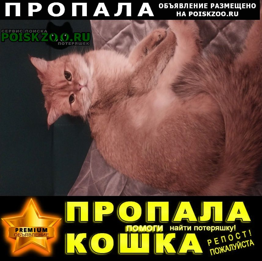 ���� ������ ��� �������� ���