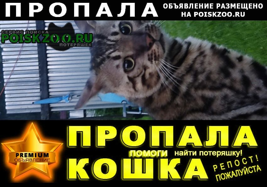 ���� ������ ��� �� ����� ����