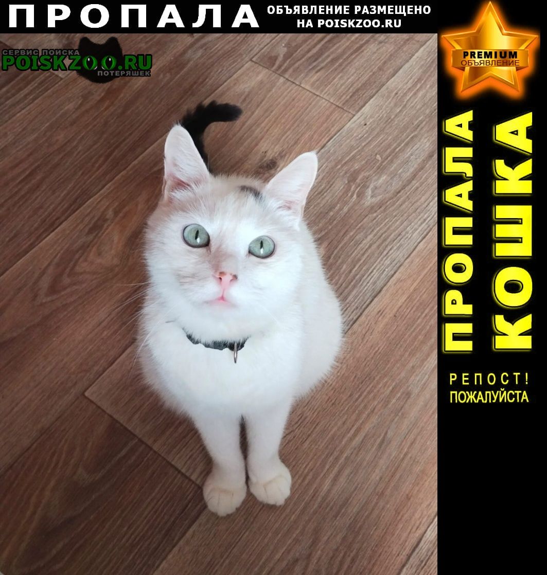 ���� ������ ���