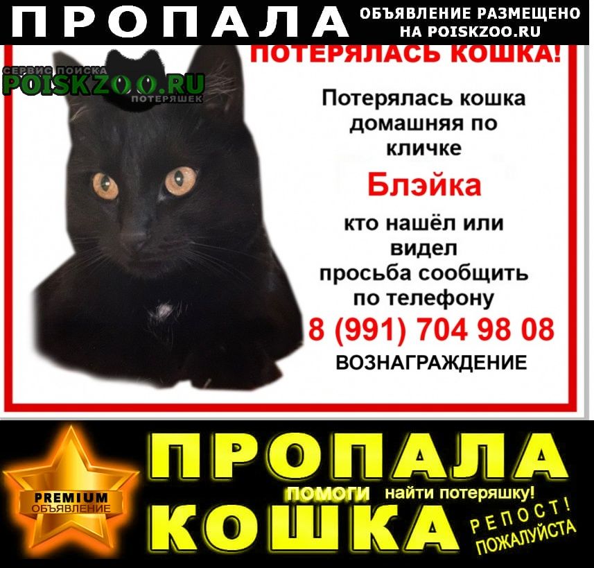 ���� ������� �����