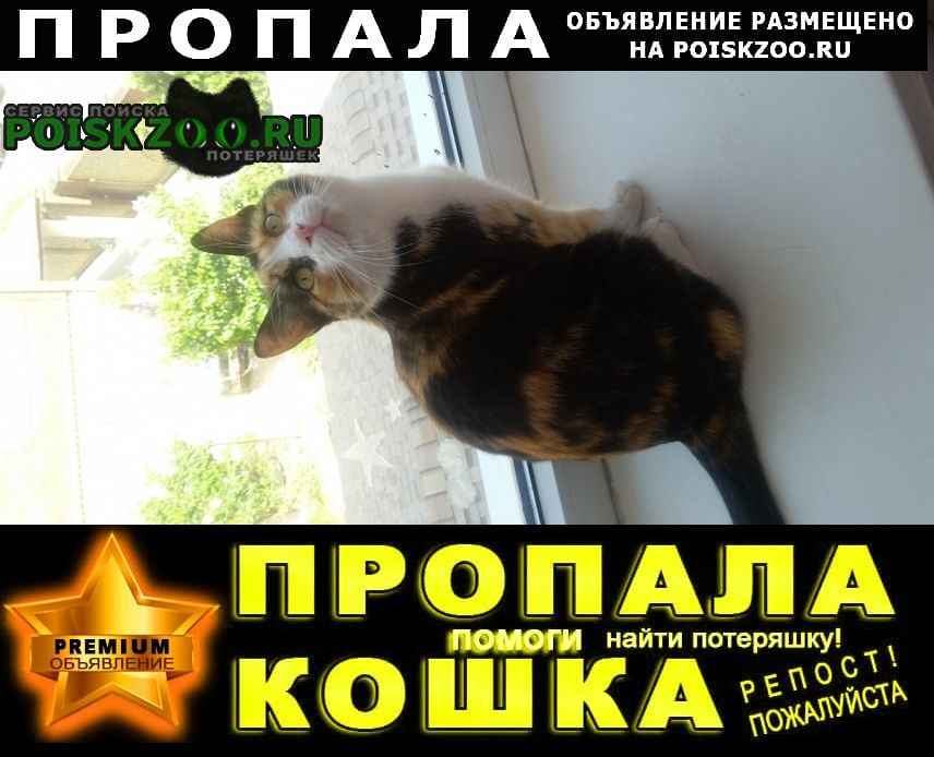 ���� ������� ����� ����������.