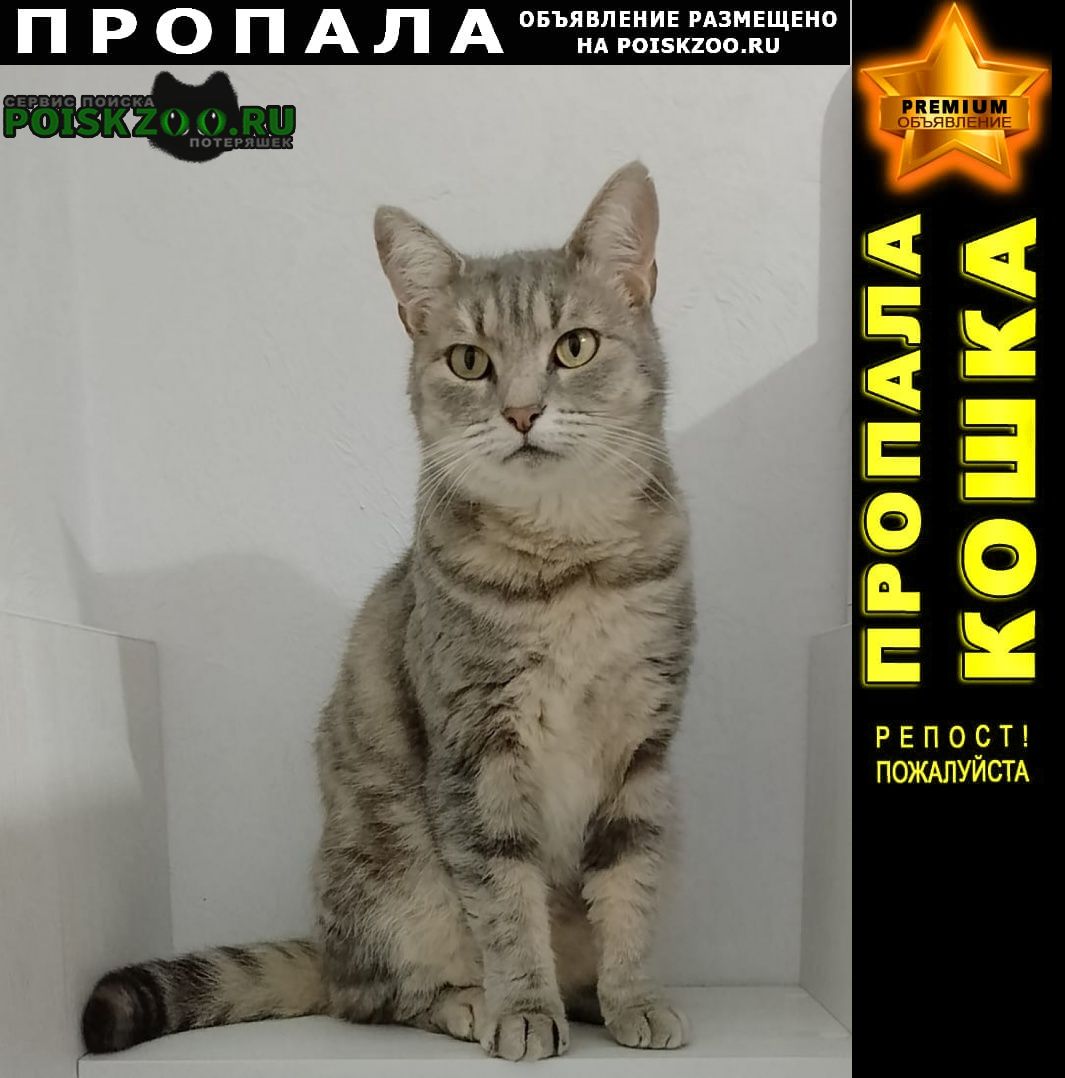 ���� ������� �����