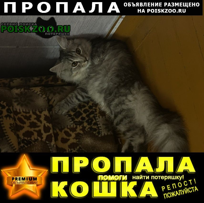 ���� ������ ��� � �������