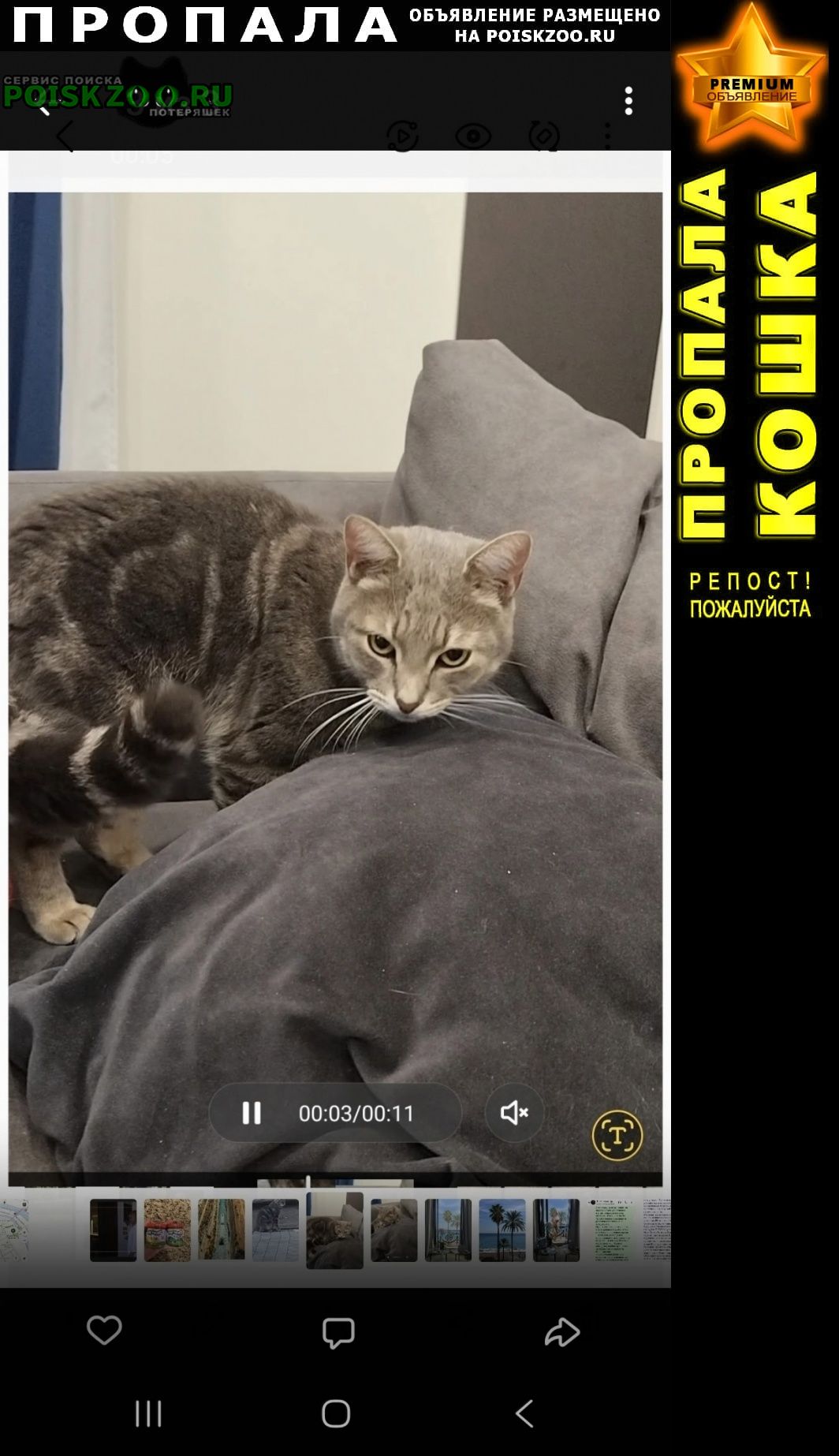 ���� ������ ��� �� ��������