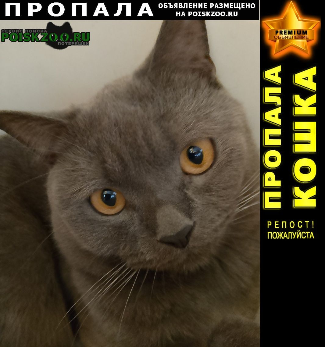 ���� ������ ��� ���������� ���