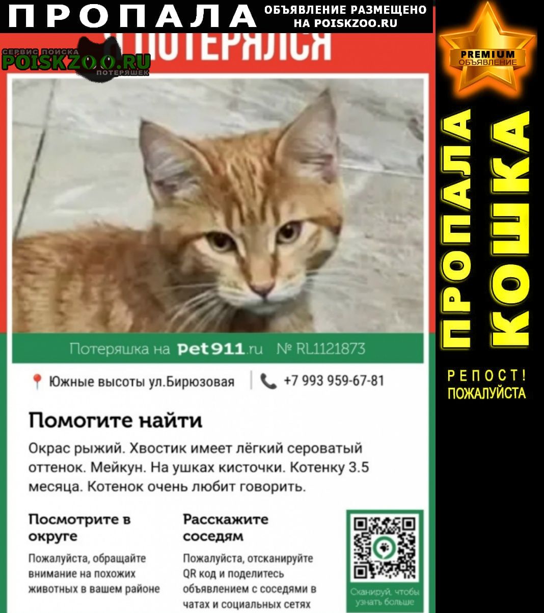 ���� ������ ������