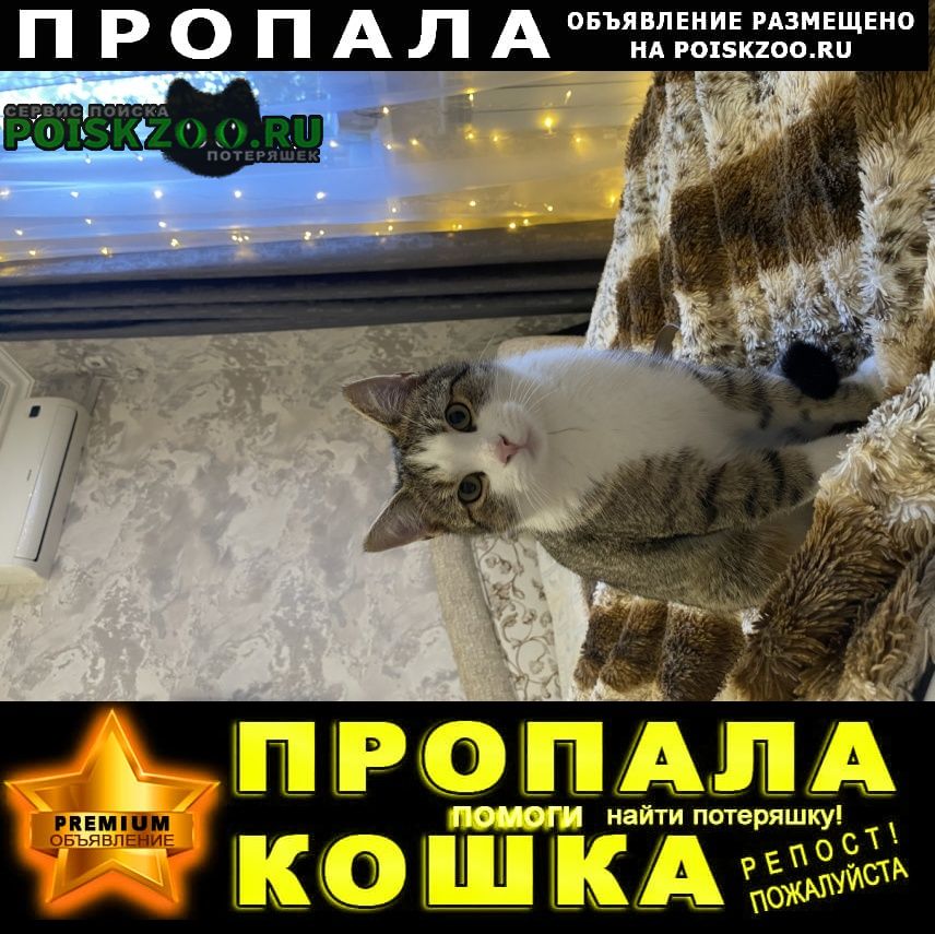 ���� ������ ���