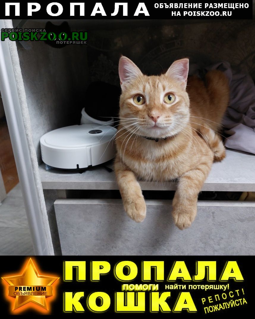 ���� ������ ���