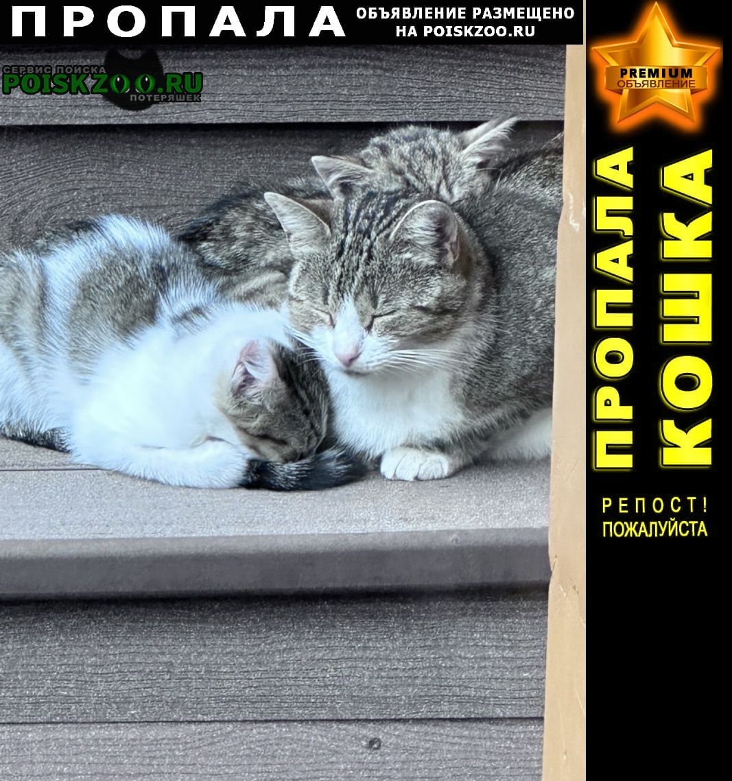 ���� ������� ����� ����-����� � ����� �������.