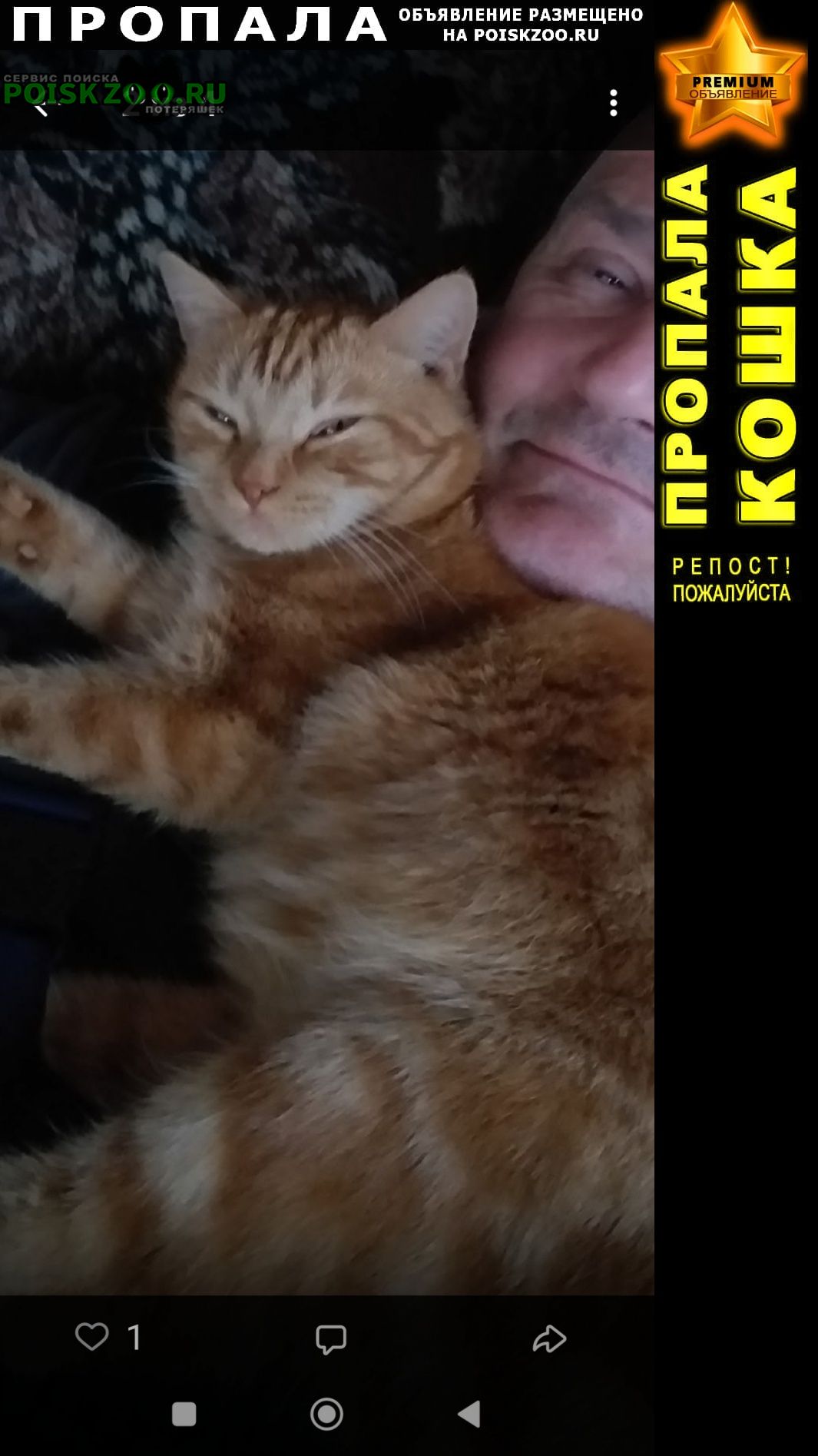 ���� ������ ��� �������� ����� ������