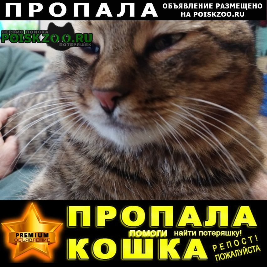 ���� ������ ��� �