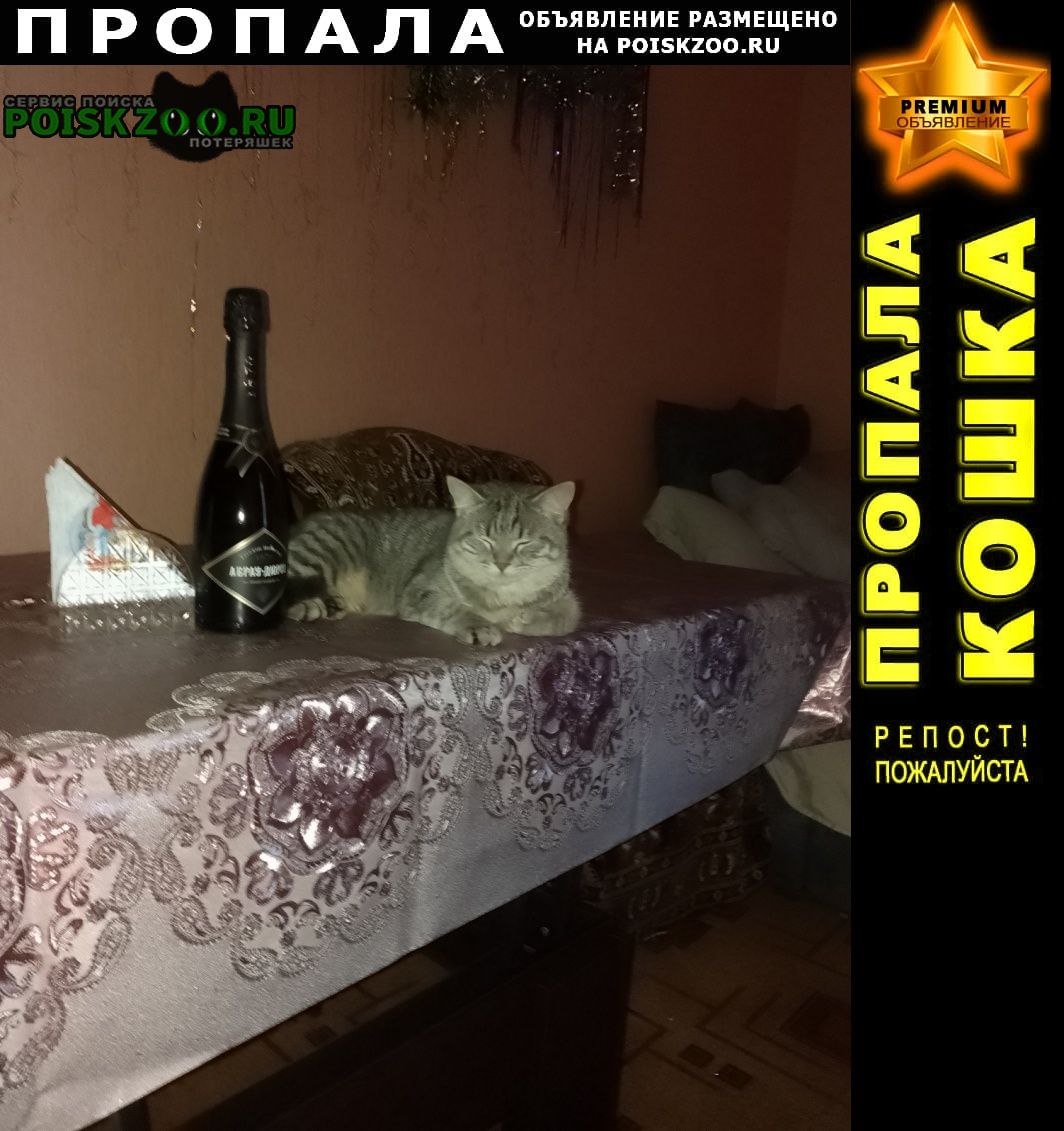 ���� ������ ��� ��