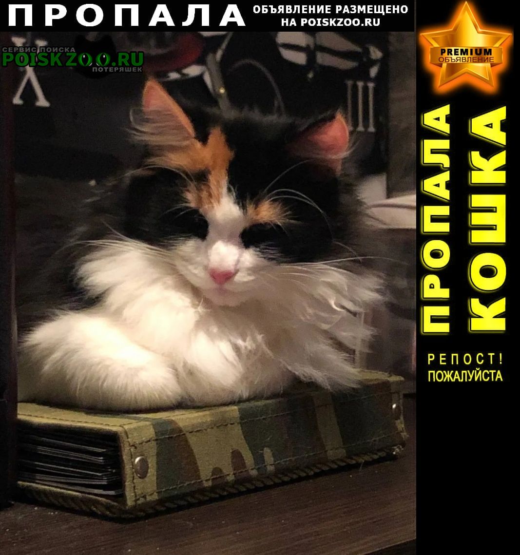 ���� ������� ����� ������� ������