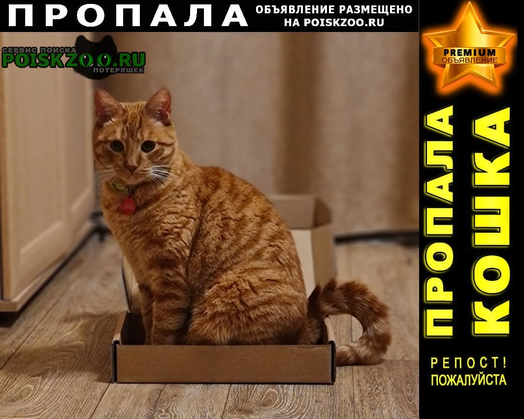 ���� ������ ��� �������������� 7 0 0 0