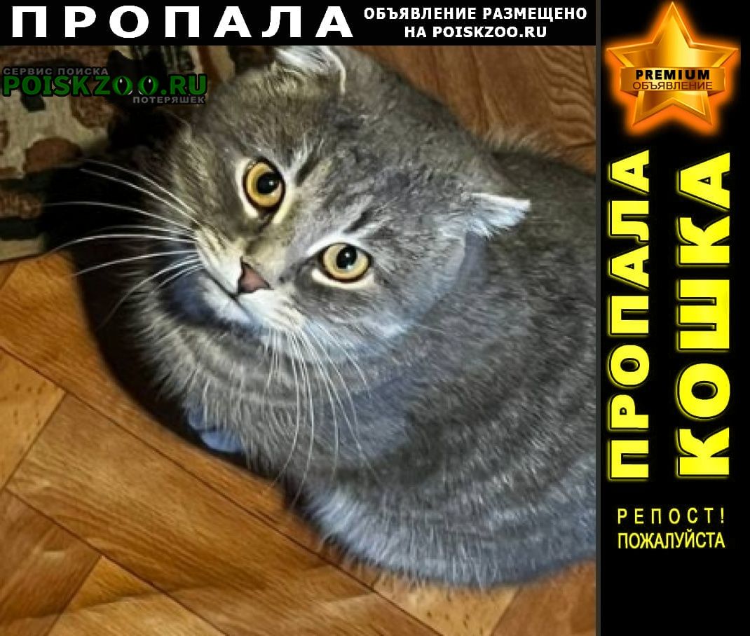 ���� ������ ���