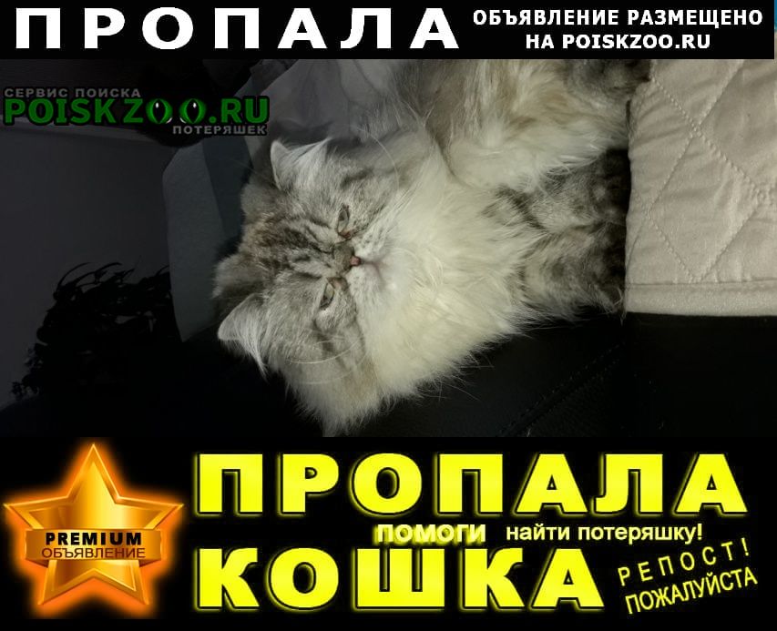 ���� ������ ��� ���������� ���