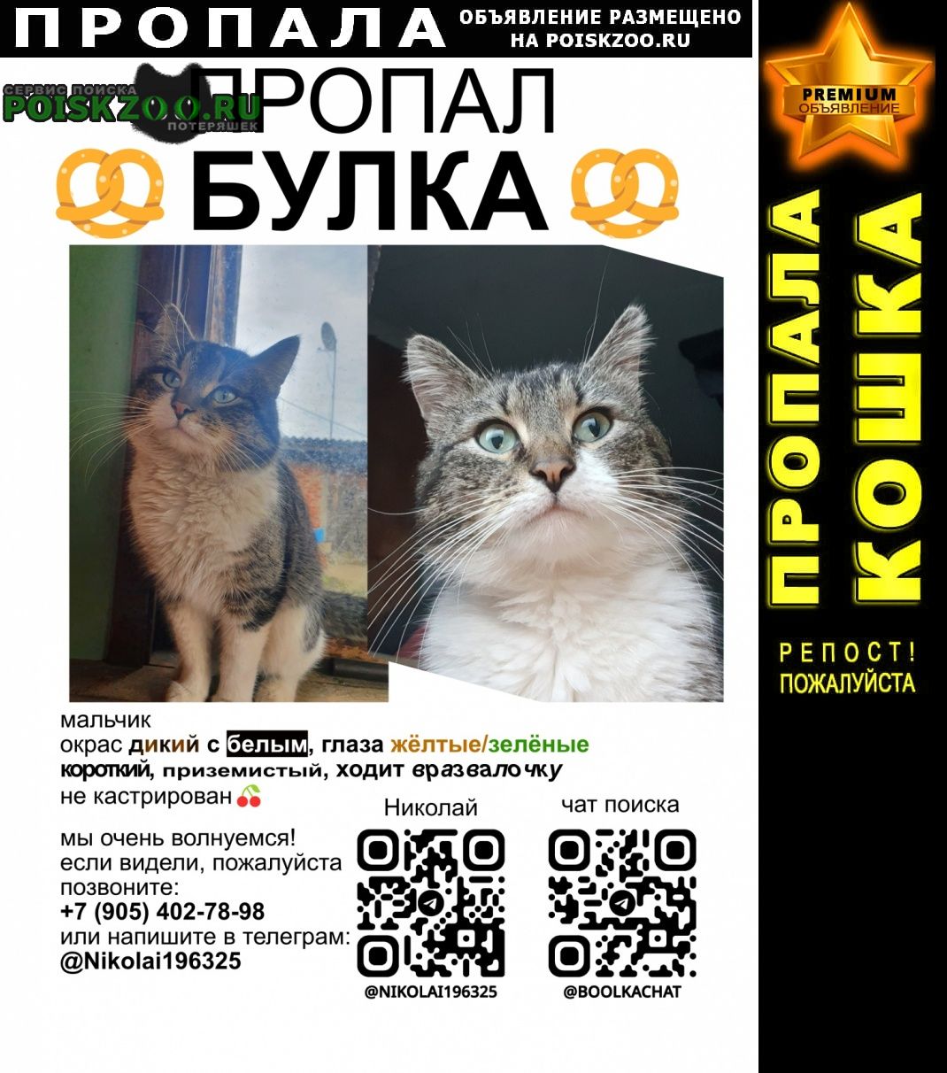 ���� ������ ��� �����