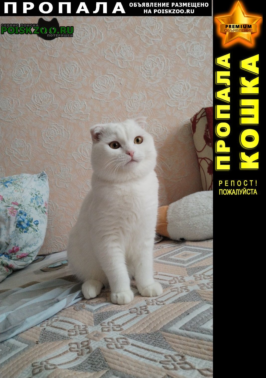 ���� ������ ����� 9 �����