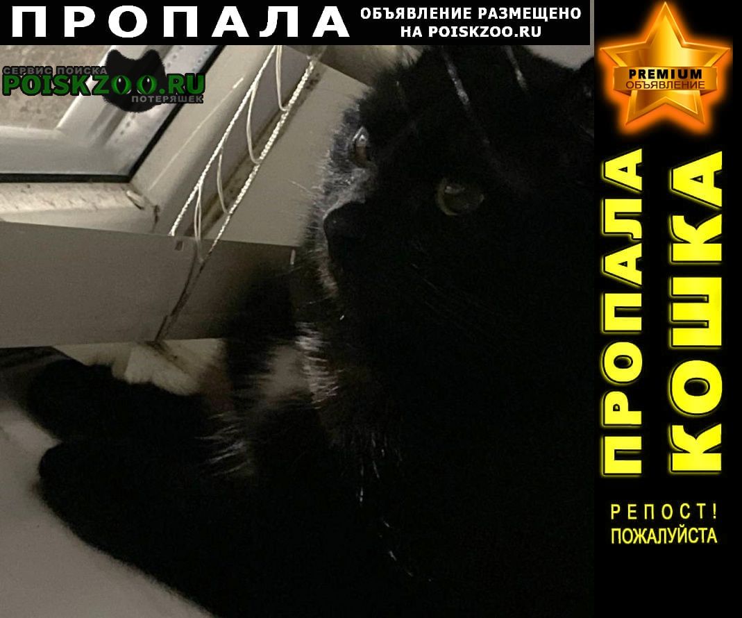 ���� ������ ���