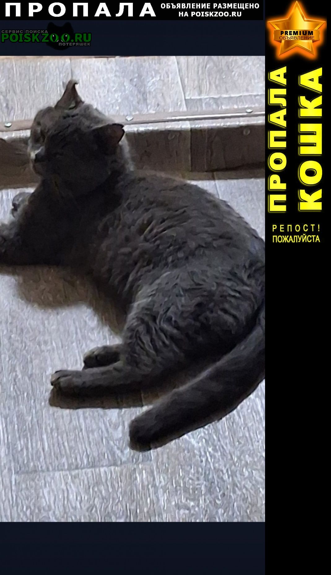 ���� ������ ��� �����