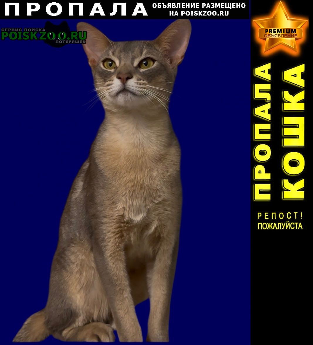 ���� ������ ��� � ������� ���. ��������