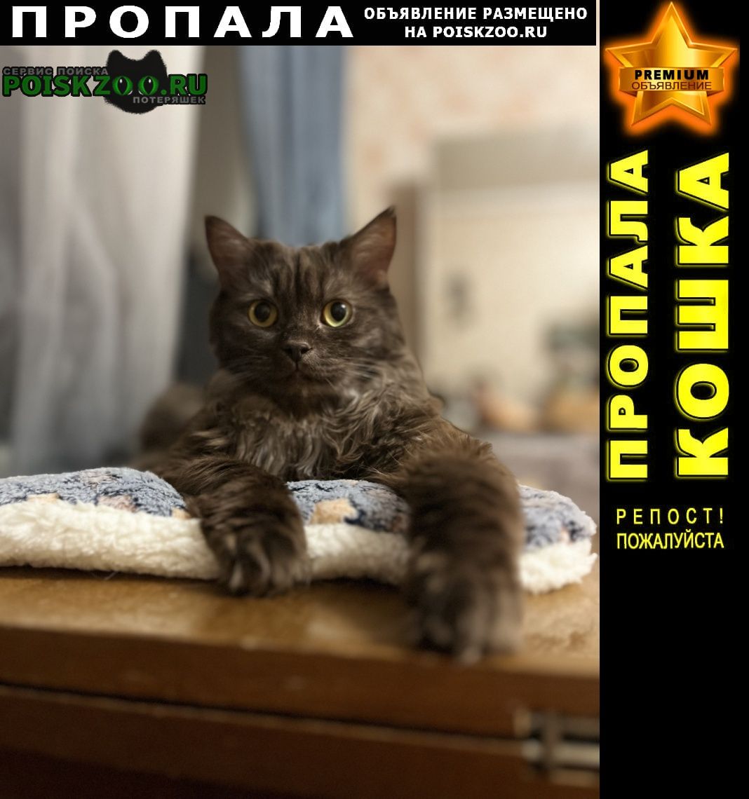 ���� ������ ���