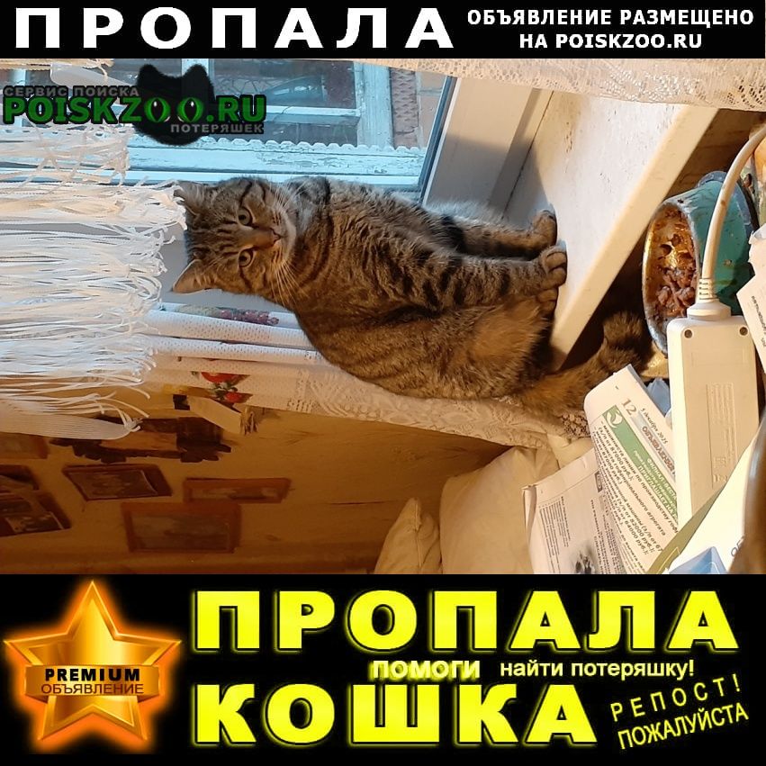 ���� ������ ���