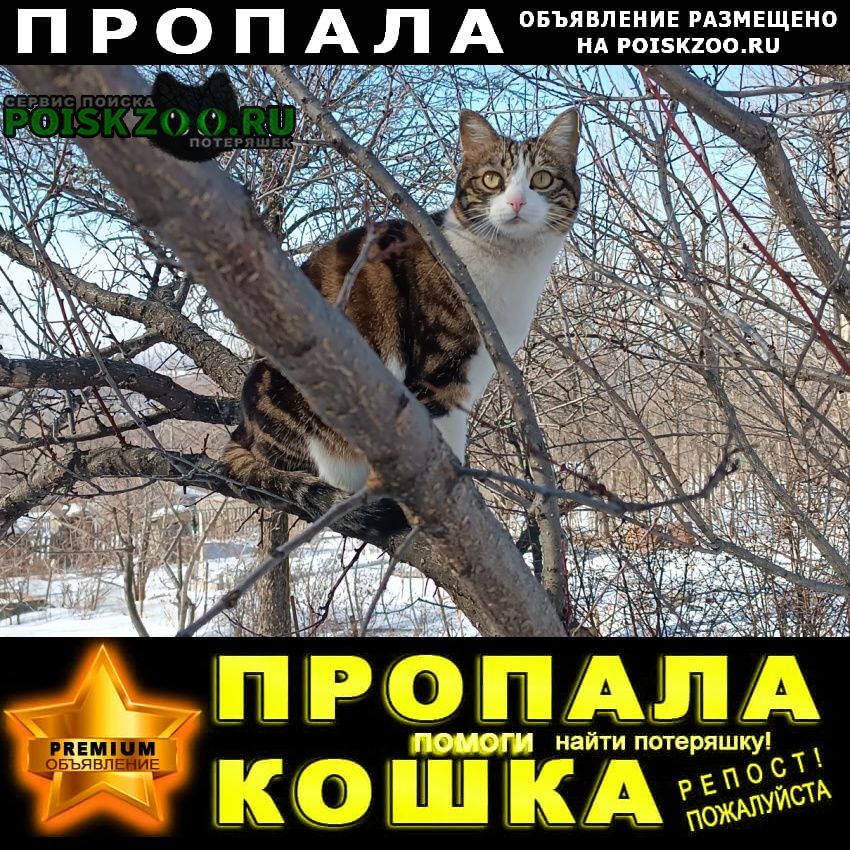 ���� ������� ����� � ������ 18 �� ����. �����