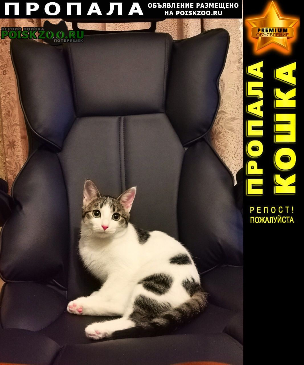 ���� ������� �����.