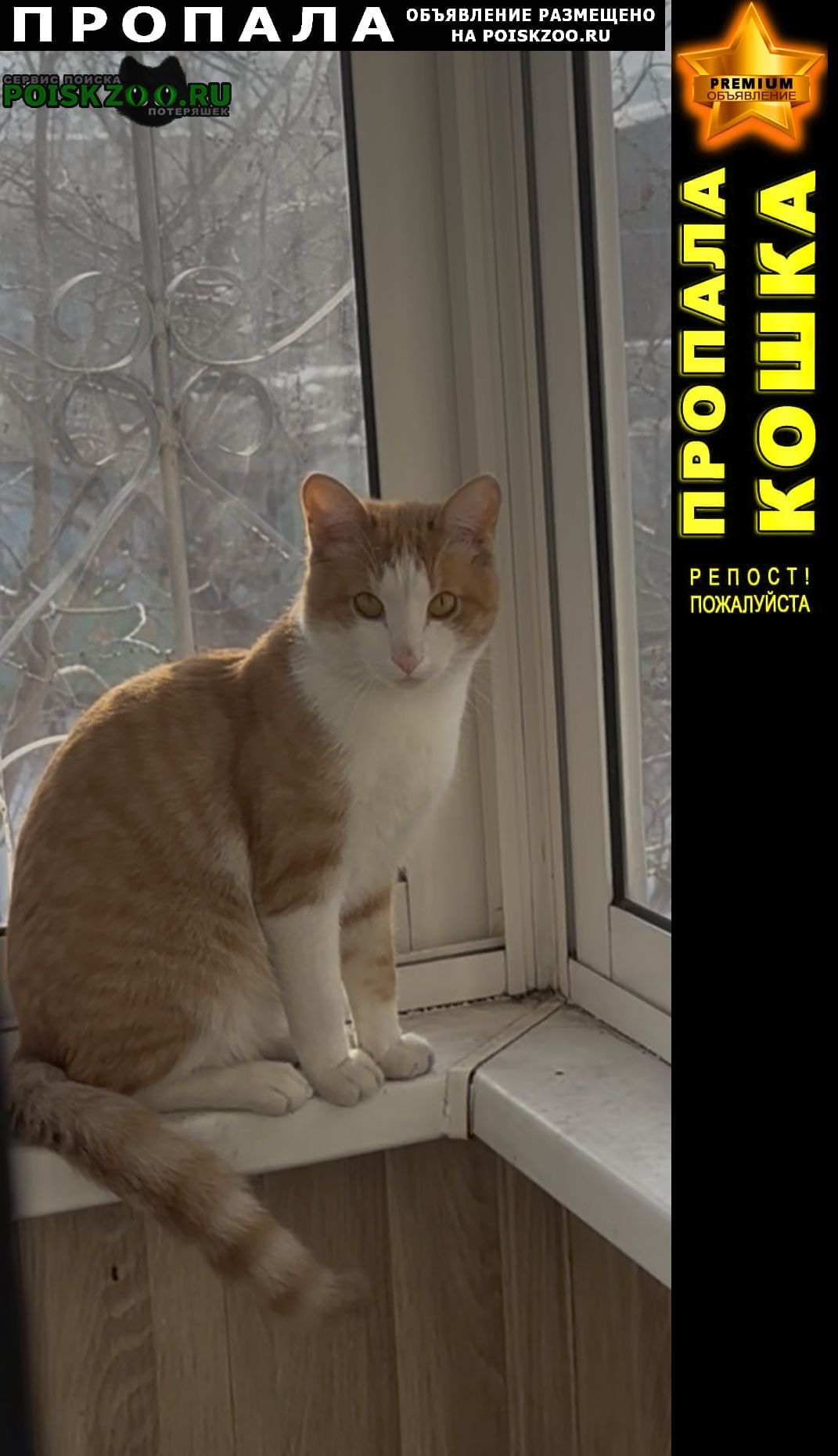 ���� ������ ���