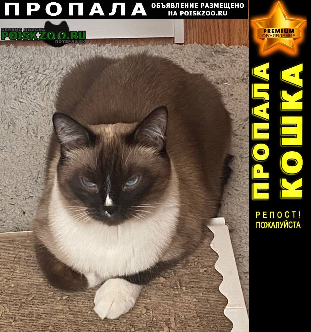 ���� ������ ��� ��