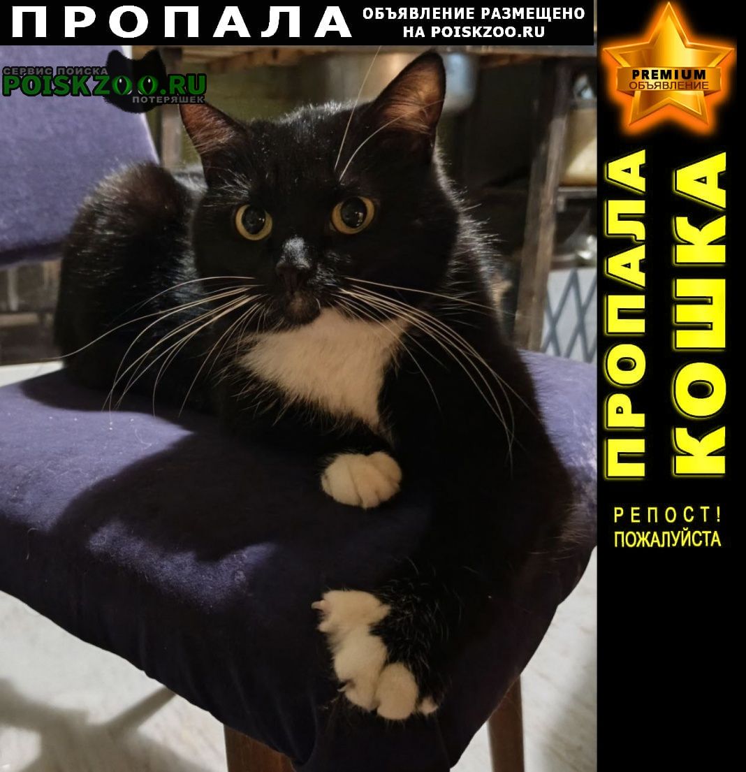 ���� ������� ����� �����-���������, ������� ��� 5, ������ ��