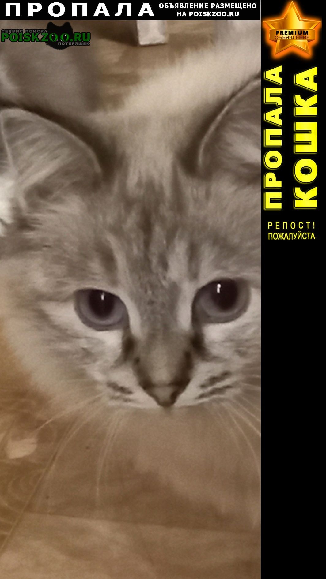 ���� ������� ����� �������.