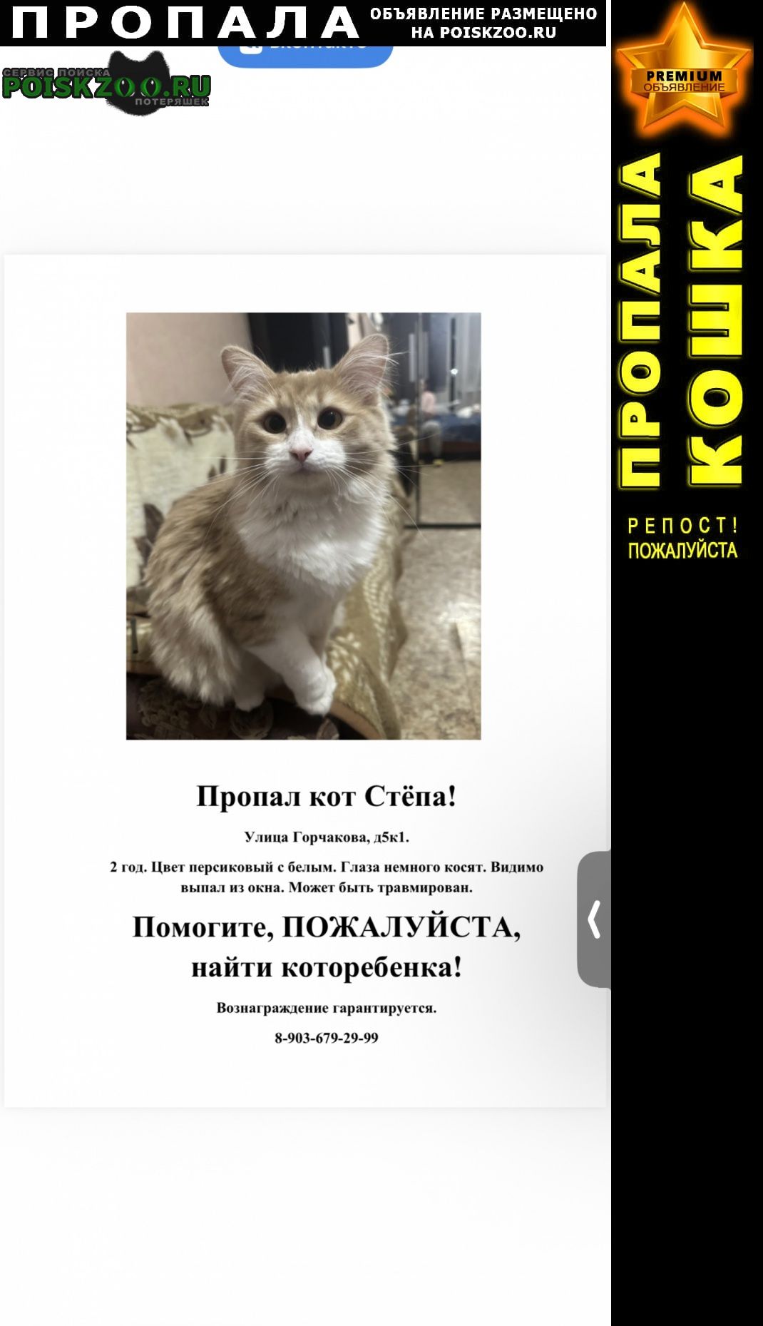 ���� ������ ���