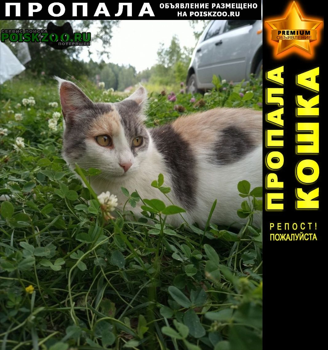 ���� ������� �����