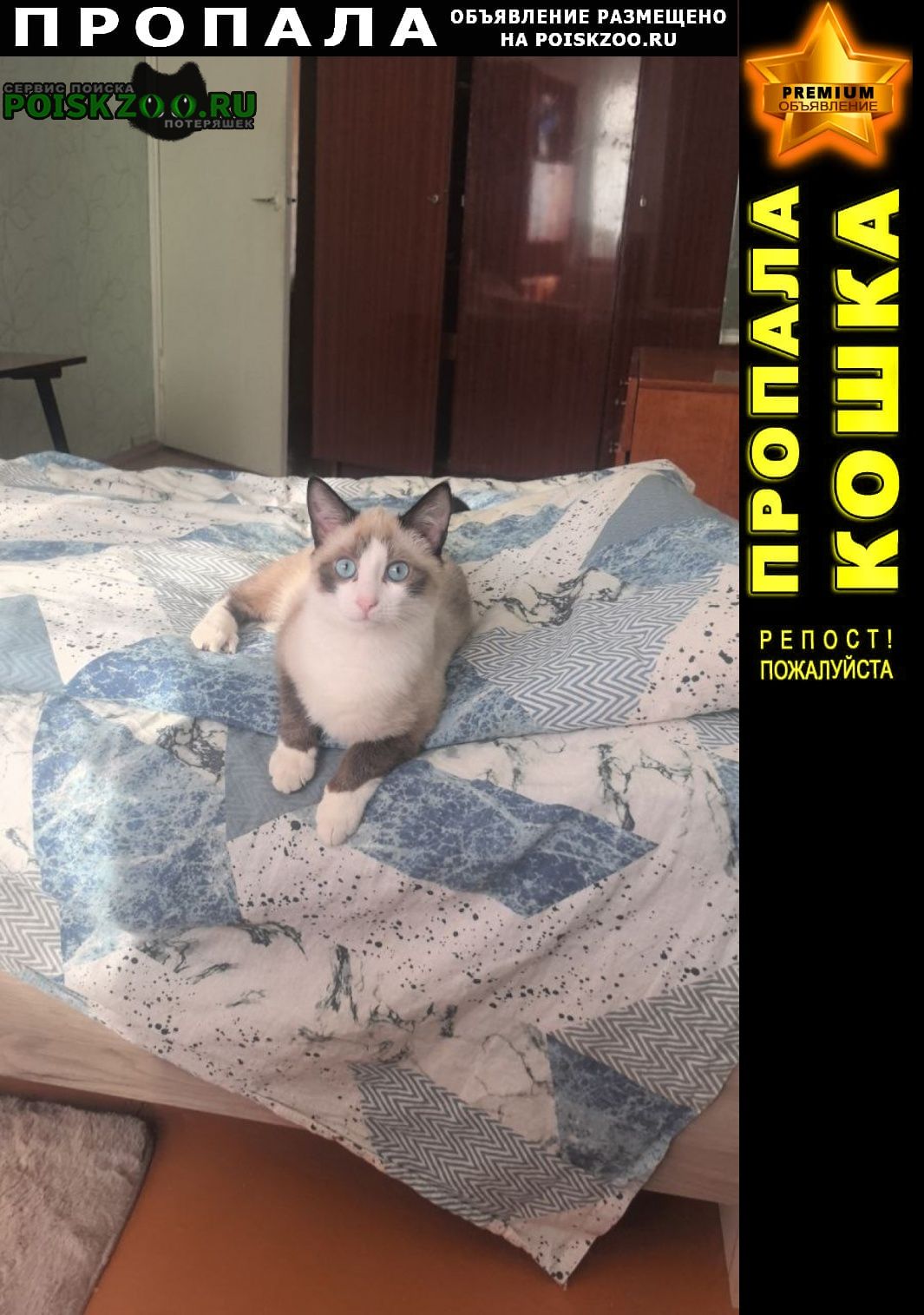 ���� ������ ��� �������� ����� ����
