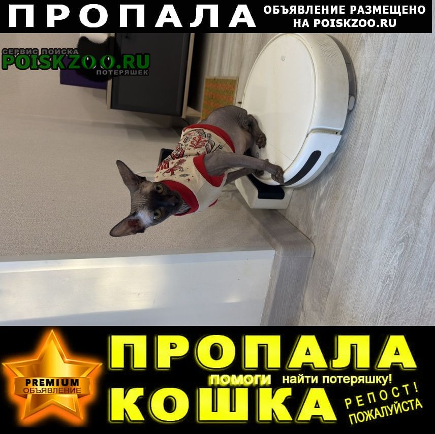 ���� ������� ����� �. ������� ������