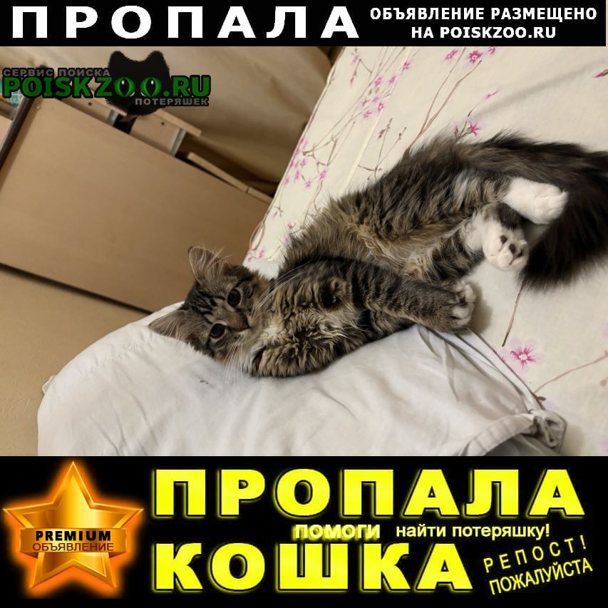 ���� ������� ����� ����������� �� ��� ����