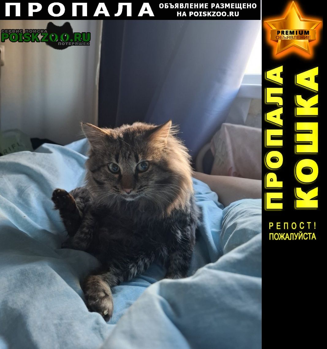 ���� ������ ��� �������� ������� ������