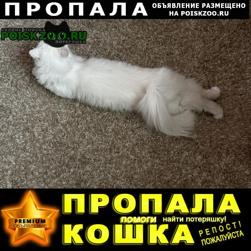 ���� ������� �����