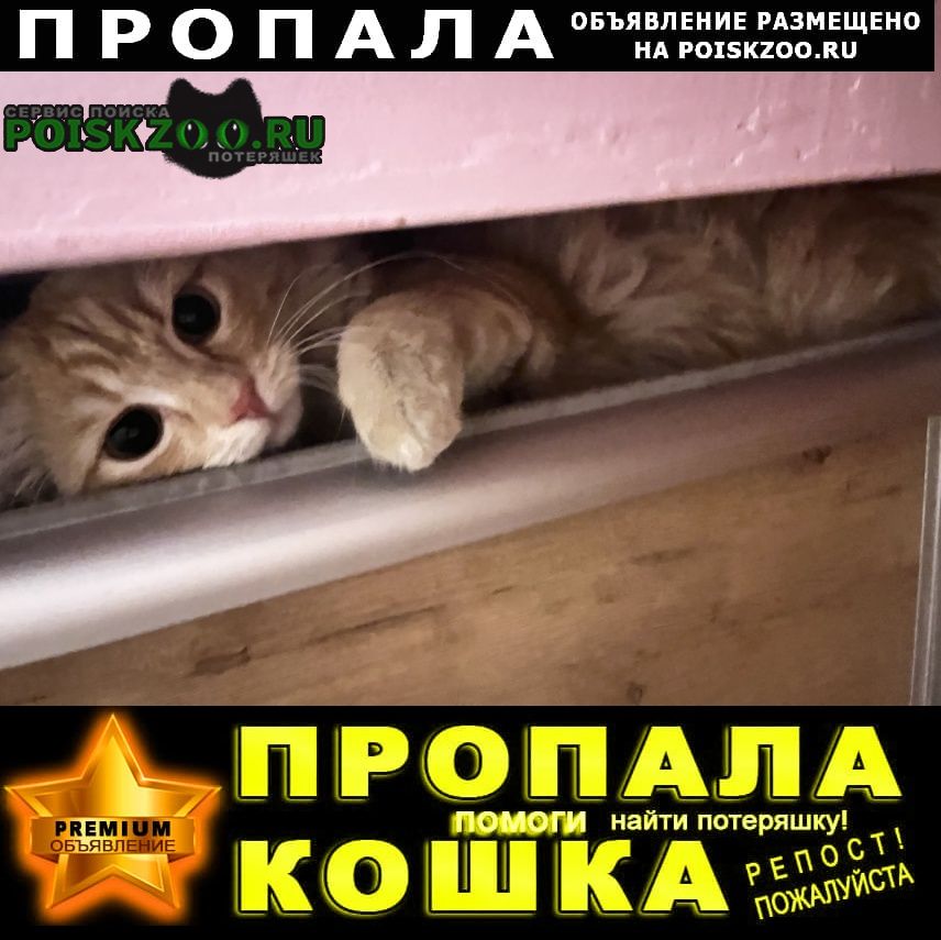 ���� ������ ���