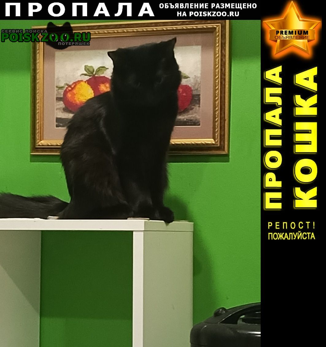 ���� ������ ���