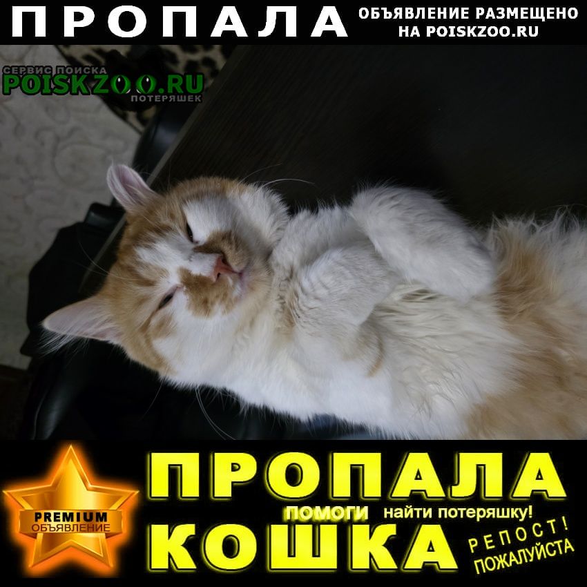 ���� ������� ����� �� ��������������