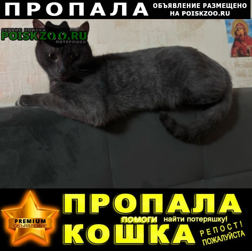���� ������ ���