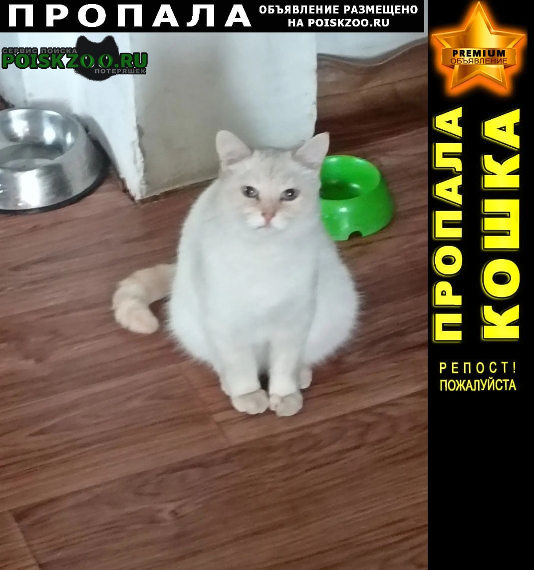 ���� ������ ���