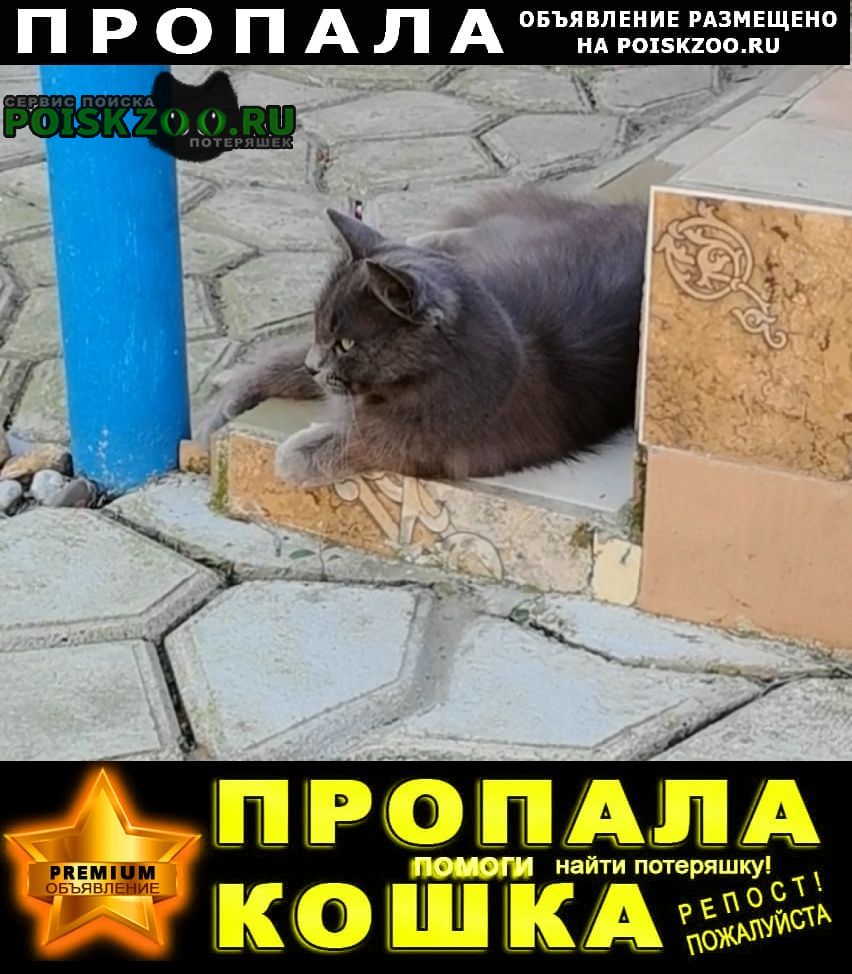 ���� ������� �����